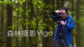 救援小白狼